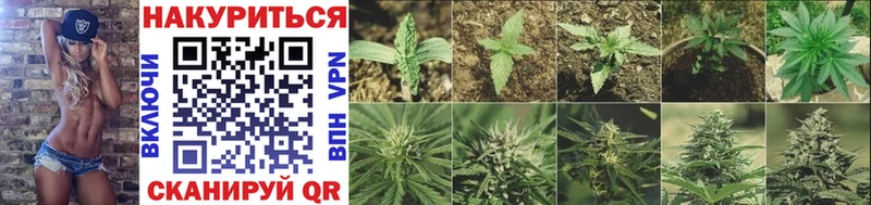 Каннабис SATIVA & INDICA  Купить где  Янаул 